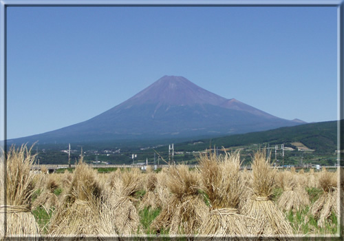 富士山　南　1