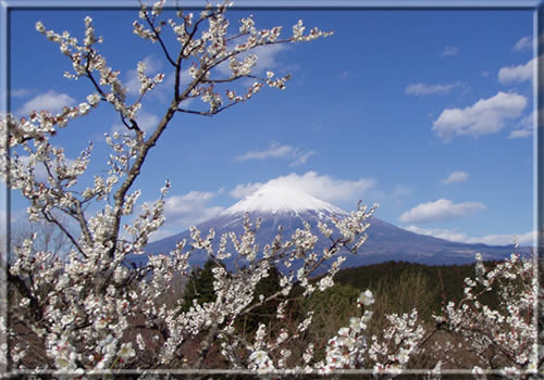 富士山　南南西　7