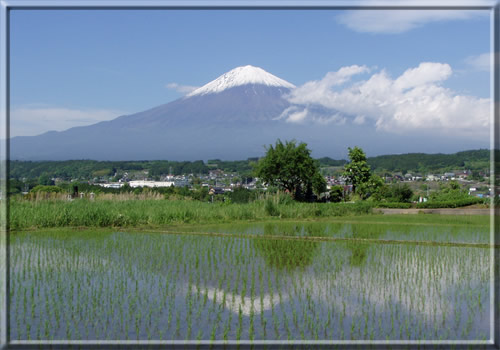 富士山　西南西　12