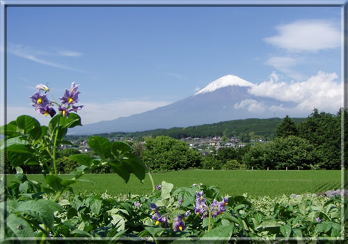 富士山　西南西　11