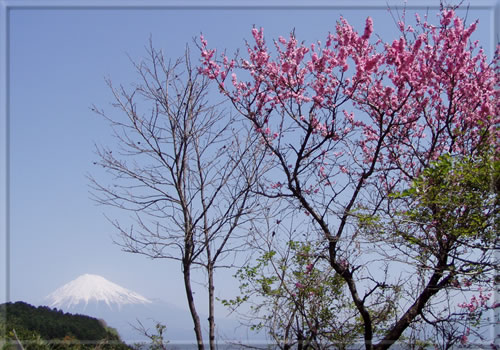 富士山　南南西　11