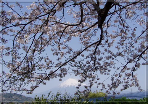 富士山　南南西　12