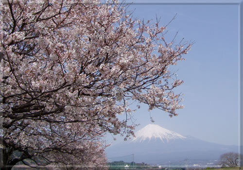 富士山　南南西　13