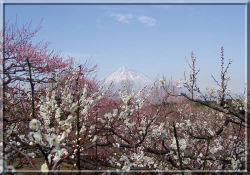 富士山　南南西　22