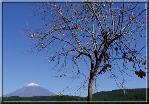 富士山　南西　19