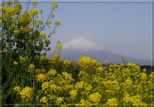 富士山　西南西　5