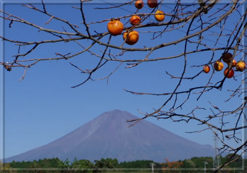 富士山　西南西　9