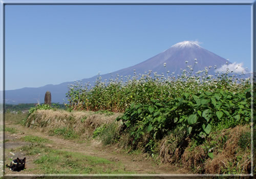 富士山　西南西　14