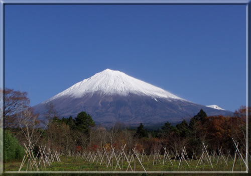 富士山　南西　4