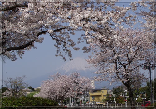 富士山　南西　6