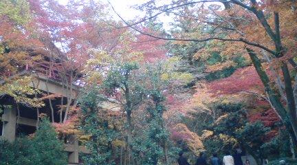 20071201134606.JPG
