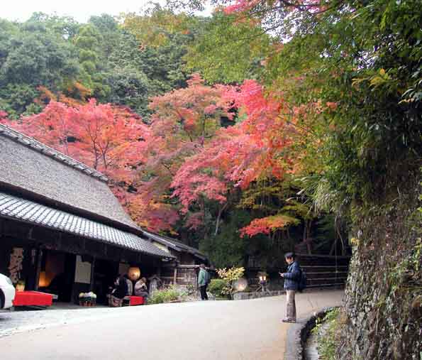 TORII