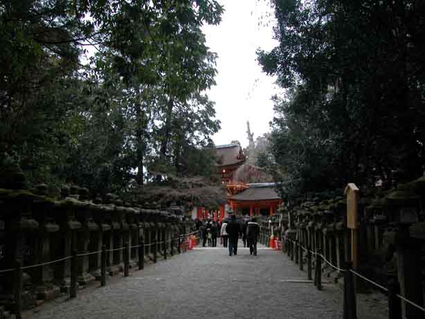 daikuku