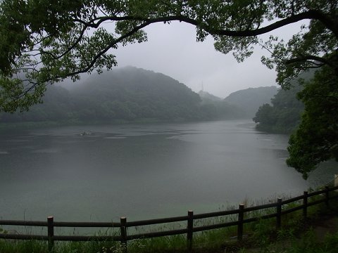 雨の烏原0008.jpg