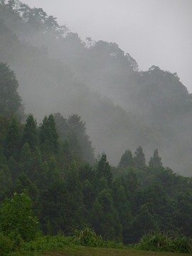 雨意の大磯0001.jpg