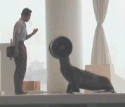 アシカダンベル