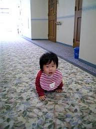 ごはん♪ごはん♪