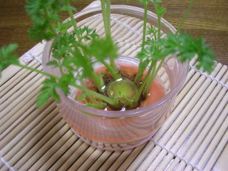 Dscn2942.jpg