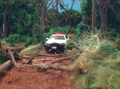 パトカー倒木に迫る