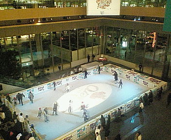 スケートリンク全景