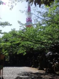 東京タワーが見下ろす墓所