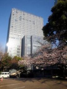 日枝神社の桜とキャピトル東急　2011年