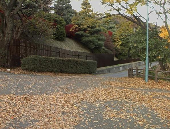 足利公園００３