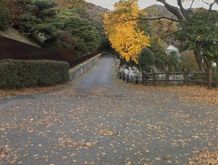 足利公園００３