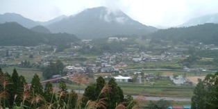 近野