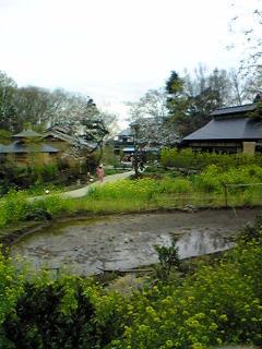 07年3月30日きらの里田圃