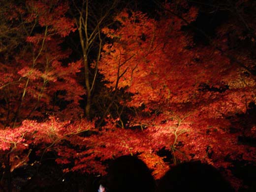 kiyomizu02