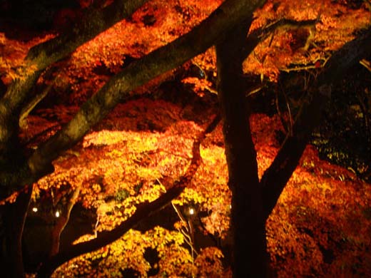 kiyomizu03