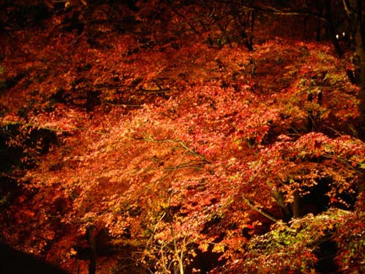 kiyomizu05