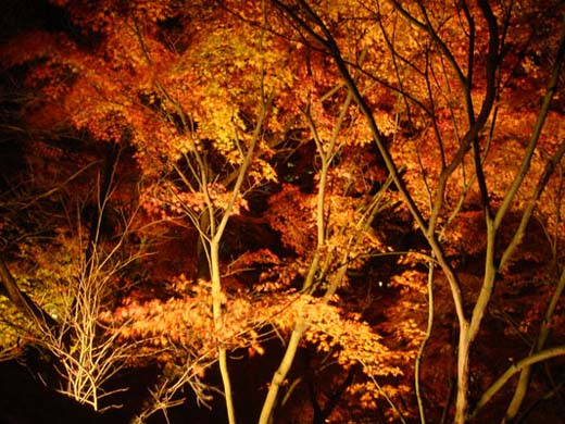 kiyomizu06