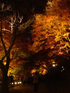 kiyomizu09