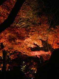 kiyomizu10