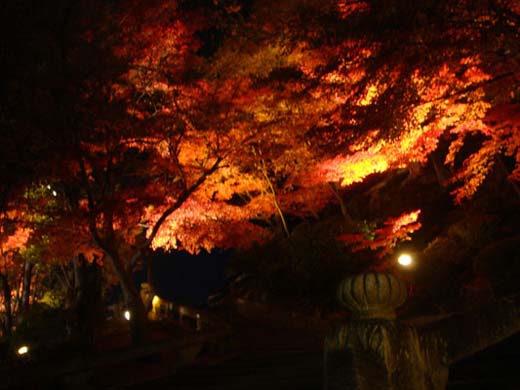 kiyomizu11