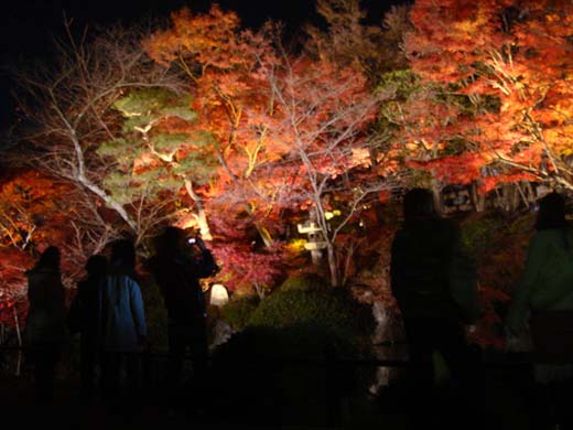 kiyomizu12