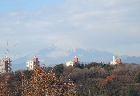 fuji_1.jpg