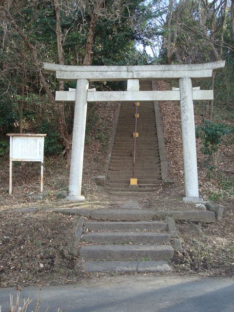 torii.jpg