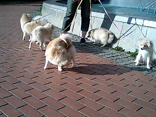 070507_1645~0001.jpg