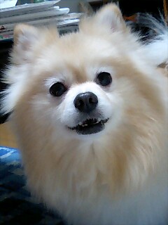 080130_2330~0001.jpg