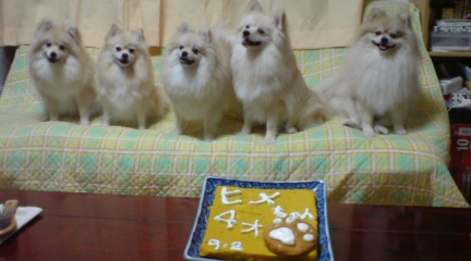 20070902211822.jpg