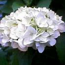 １年ぶりにまたココで会えたね。