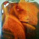 花梨の果肉いっぱい♪