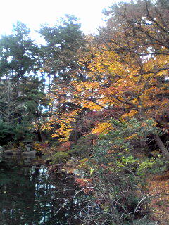 境内庭園は、紅葉もピークを過ぎすっかり冬の雰囲気。