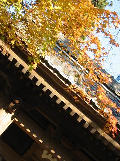 紅葉にもっと近づいて入る前に１枚。