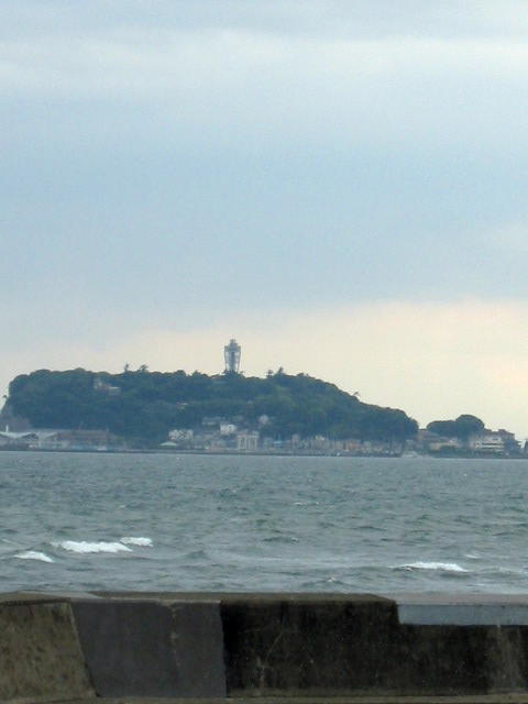 本日、富士山は拝めず。