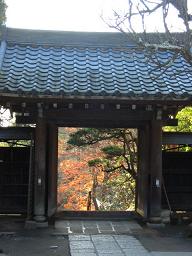 振り返り系。門が額縁代わり。