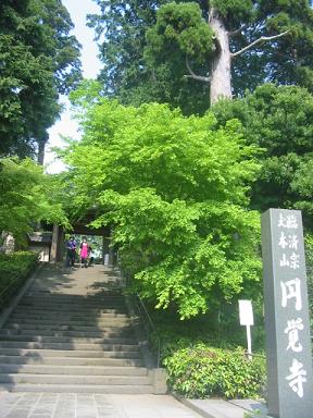 円覚寺前。見晴らし茶屋のところてん食べたい。